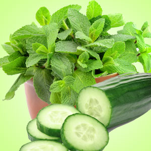 Cucumber Mint