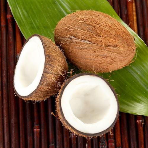 Bamboo Coconut