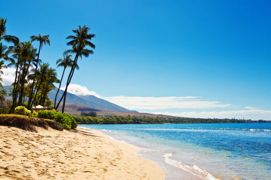 Maui Vibes